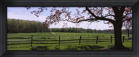 Framed Wooden fence in a farm, Knox Farm State Park, East Aurora, New York State, USA Print