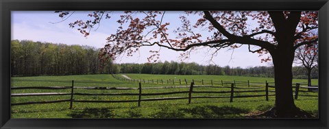Framed Wooden fence in a farm, Knox Farm State Park, East Aurora, New York State, USA Print