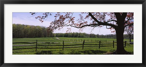 Framed Wooden fence in a farm, Knox Farm State Park, East Aurora, New York State, USA Print