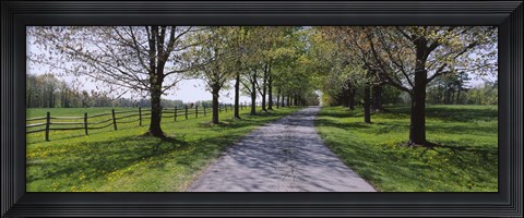 Framed Road passing through a farm, Knox Farm State Park, East Aurora, New York State, USA Print