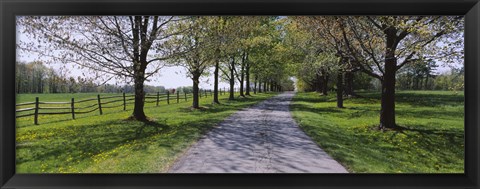 Framed Road passing through a farm, Knox Farm State Park, East Aurora, New York State, USA Print