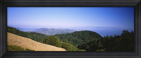 Framed High angle view of a forest, Mt Tamalpais, California, USA Print