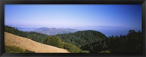 Framed High angle view of a forest, Mt Tamalpais, California, USA Print