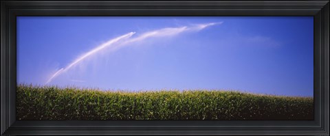 Framed Water being sprayed on a corn field, Washington State, USA Print