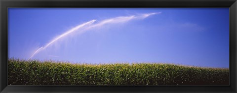 Framed Water being sprayed on a corn field, Washington State, USA Print