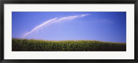 Framed Water being sprayed on a corn field, Washington State, USA Print