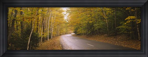 Framed Road passing through a forest, Park Loop Road, Acadia National Park, Mount Desert Island, Maine, USA Print