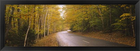 Framed Road passing through a forest, Park Loop Road, Acadia National Park, Mount Desert Island, Maine, USA Print