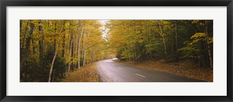 Framed Road passing through a forest, Park Loop Road, Acadia National Park, Mount Desert Island, Maine, USA Print