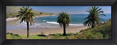 Framed High angle view of palm trees on the beach, Refugio State Beach, Santa Barbara, California, USA Print