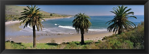 Framed High angle view of palm trees on the beach, Refugio State Beach, Santa Barbara, California, USA Print