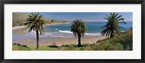 Framed High angle view of palm trees on the beach, Refugio State Beach, Santa Barbara, California, USA Print