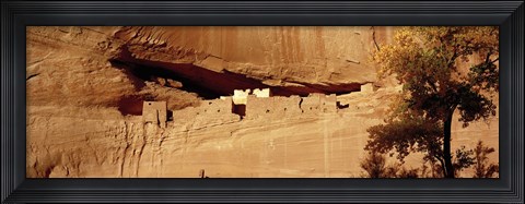 Framed Tree in front of the ruins of cliff dwellings, White House Ruins, Canyon de Chelly National Monument, Arizona, USA Print