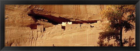 Framed Tree in front of the ruins of cliff dwellings, White House Ruins, Canyon de Chelly National Monument, Arizona, USA Print