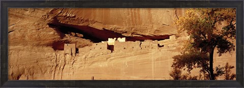 Framed Tree in front of the ruins of cliff dwellings, White House Ruins, Canyon de Chelly National Monument, Arizona, USA Print