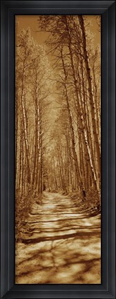 Framed Trees along a road, Log Cabin Gold Mine, Eastern Sierra, Californian Sierra Nevada, California, USA Print