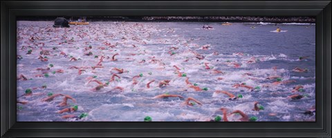 Framed Triathlon athletes swimming in water in a race, Ironman, Kailua Kona, Hawaii, USA Print
