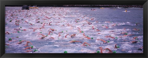 Framed Triathlon athletes swimming in water in a race, Ironman, Kailua Kona, Hawaii, USA Print