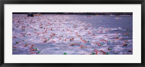 Framed Triathlon athletes swimming in water in a race, Ironman, Kailua Kona, Hawaii, USA Print