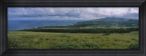 Framed High angle view of trees on a landscape, Easter Island, Chile Print