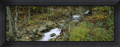 Framed Stream through the Forest, New Hampshire Print