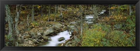 Framed Stream through the Forest, New Hampshire Print