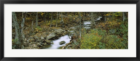 Framed Stream through the Forest, New Hampshire Print