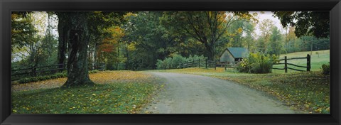 Framed Trees at a Roadside, Vermont Print