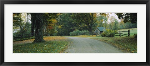 Framed Trees at a Roadside, Vermont Print