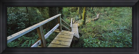 Framed Wooden Path in Pacific Rim National Park Print