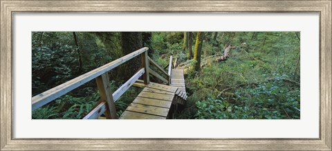 Framed Wooden Path in Pacific Rim National Park Print