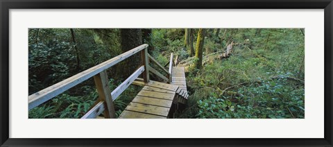 Framed Wooden Path in Pacific Rim National Park Print