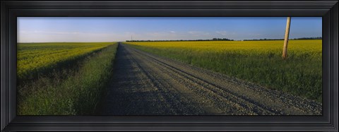 Framed Country Road in Millet, Canada Print