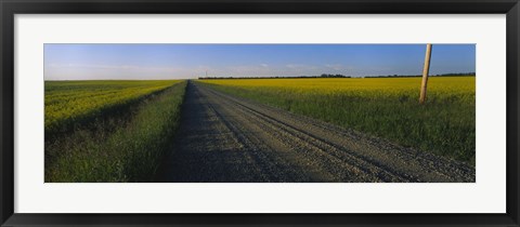 Framed Country Road in Millet, Canada Print