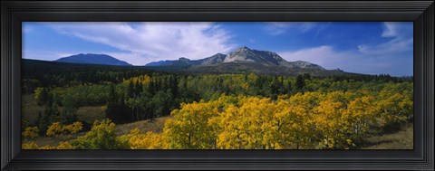 Framed Valley of Trees in Wateron Lakes Print