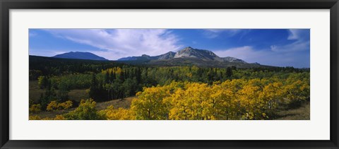 Framed Valley of Trees in Wateron Lakes Print
