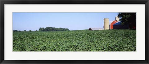 Framed Soybean Field and Barn in Kent County Print