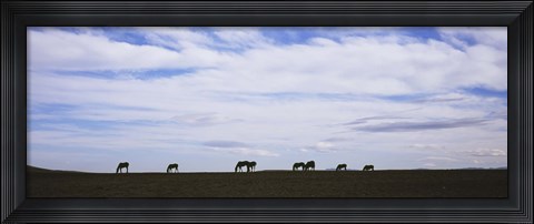 Framed Horses in Field Print