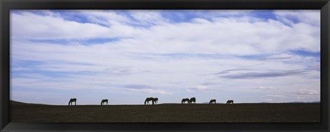 Framed Horses in Field Print