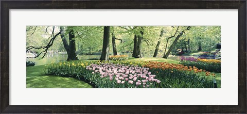 Framed Flowers in a garden, Keukenhof Gardens, Netherlands Print