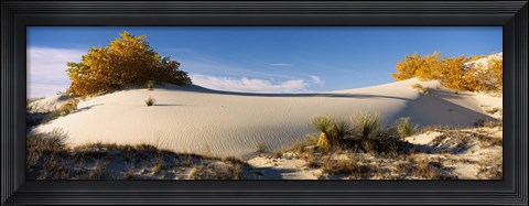 Framed Desert plants in White Sands National Monument, New Mexico Print