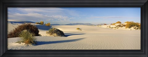 Framed Desert plants in a desert, White Sands National Monument, New Mexico, USA Print