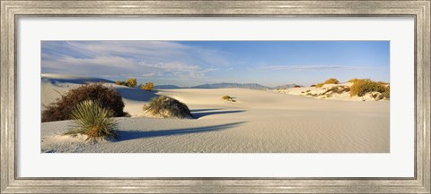 Framed Desert plants in a desert, White Sands National Monument, New Mexico, USA Print