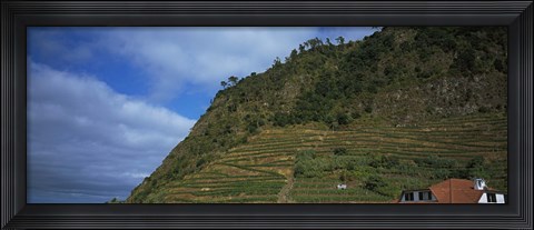 Framed Low angle view of terraced fields on a mountain, Ponta Delgada, Madeira, Portugal Print