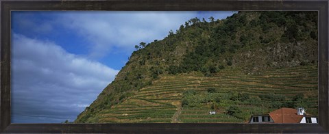 Framed Low angle view of terraced fields on a mountain, Ponta Delgada, Madeira, Portugal Print