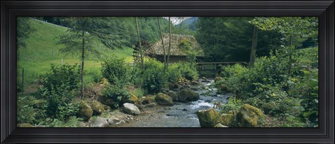 Framed River flowing through forest, Black Forest, Glottertal, Germany Print