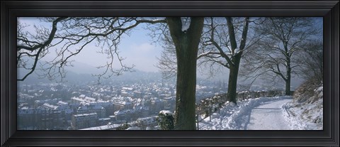 Framed Trees along a snow covered road, Freiburg Im Breisgau, Breisgau, Baden-Wurttemberg, Germany Print