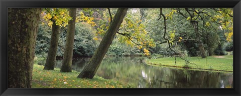 Framed Trees near a pond in a park, Vondelpark, Amsterdam, Netherlands Print