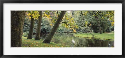 Framed Trees near a pond in a park, Vondelpark, Amsterdam, Netherlands Print