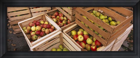 Framed High angle view of harvested apples in wooden crates, Weinsberg, Baden-Wurttemberg, Germany Print